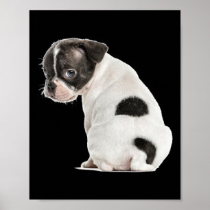 Cute Little Sömnig Puppy Hund Ansikte för djuröver Poster