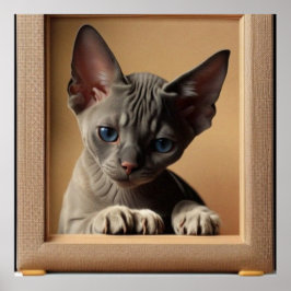 Cute Little Sphynx kitten cat mörk färg Poster