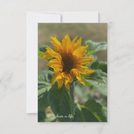 Cute Little Sunblomma Anteckningskort