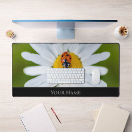 Cute Little turturybug för ett positivt tänkesätt