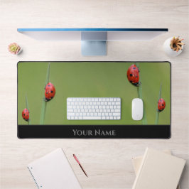 Cute Little turturybug för ett positivt tänkesätt