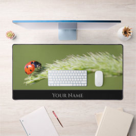 Cute Little turturybug för ett positivt tänkesätt