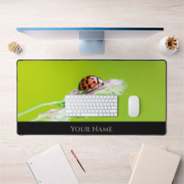 Cute Little turturybug för ett positivt tänkesätt