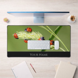 Cute Little turybugs för positivt tänkesätt