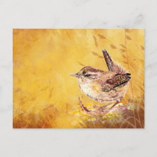 Cute Little Watercolor House Wren Bird Nature Art Vykort
