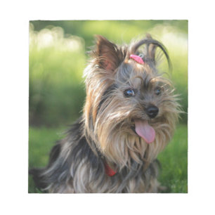 Cute Little Yorkshire Terrier Hund Anteckningsblock