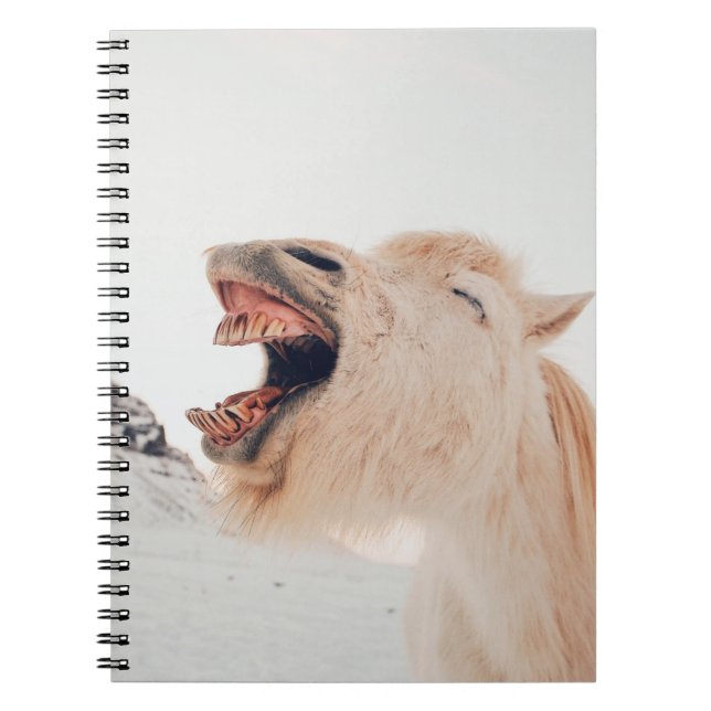 CUTE LLAMA ALPACA LAUGHING ANTECKNINGSBOK (Framsidan)
