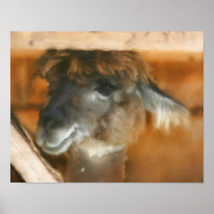 Cute Llama Ansikte Farm Animal Art Poster