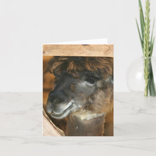 Cute Llama Farm Animal Photography Note Kort (Framsida)