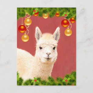 Cute Llama-Helgdag Vykort