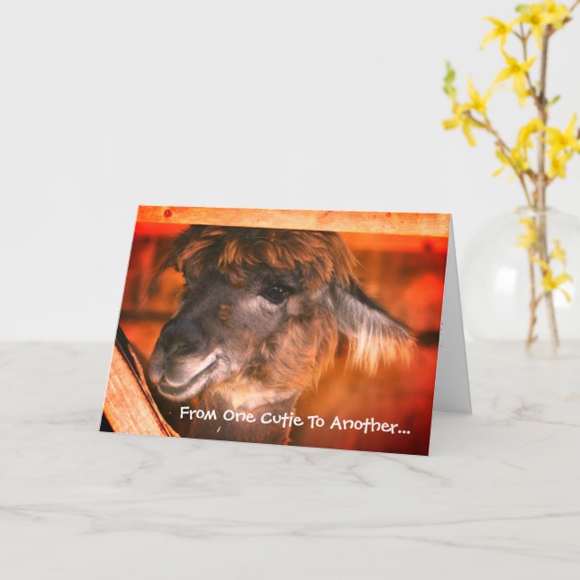 Cute Llama Humous Animal Birgday Kort (Gul blomma)