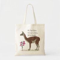 Cute Llama Illustration Guanaco Sydamerika