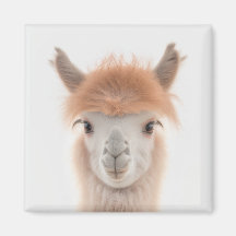 Cute Llama Magnet (Alaca) | Samlingsbar