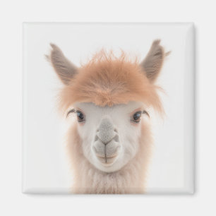 Cute Llama Magnet (Alaca) Samlingsbar