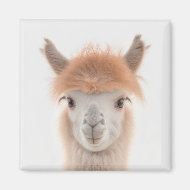 Cute Llama Magnet (Alaca) | Samlingsbar (Framsidan)