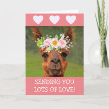 Cute Llama och Hjärter kommer bra
