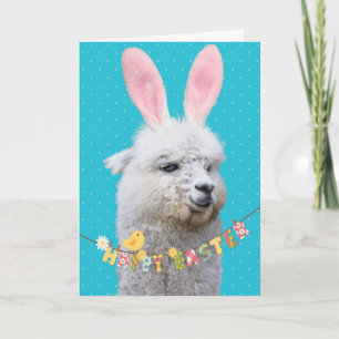 Cute Llama Påskhare Llamanated Påsk Kort