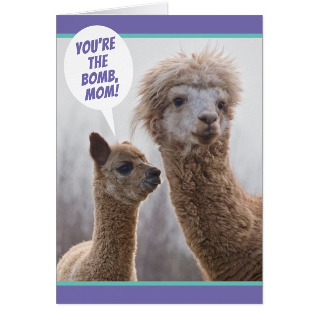 Cute Llama precis som du Mors dag Card Hälsningskort (Framsidan)