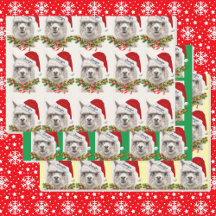 Cute Llama Smiles Santa Hat Ditt namn jul