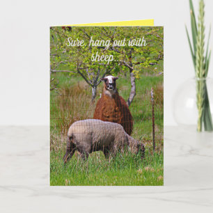 Cute, Llama-uppmuntrande gratulationskort Kort