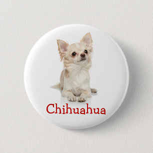Cute Long-färgad Chihuahua-knappstift Knapp