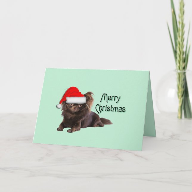 Cute Long Hair Chocolate Chihuahua Jul Kort (Framsida)