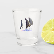 Cute Longfin Batfish