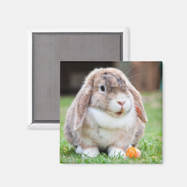 Cute Lop Eared Rabbit in Grass with Carrot Magnet (Front/Back)
