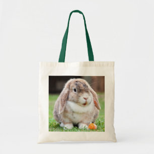 Cute Lop Eared Rabbit in Grass with Carrot Tygkasse