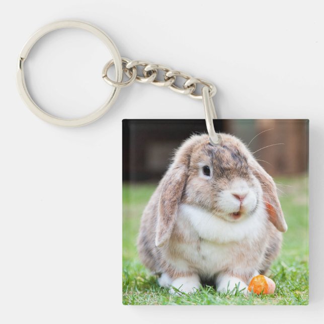Cute lop-Ekanin (Framsidan)