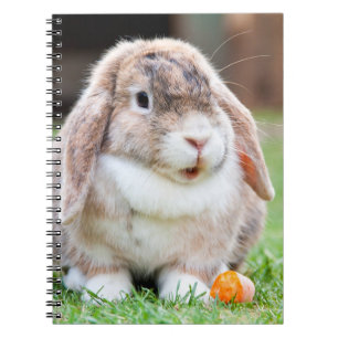 Cute lop-Ekanin Anteckningsbok