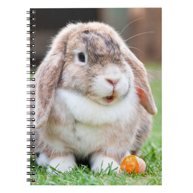 Cute lop-Ekanin Anteckningsbok (Framsidan)