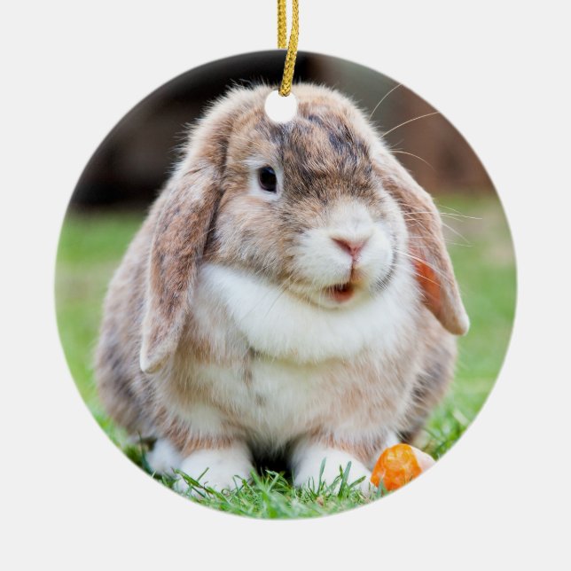 Cute lop-Ekanin Julgransprydnad Keramik (Framsidan)