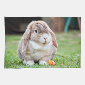 Cute lop-Ekanin Kökshandduk