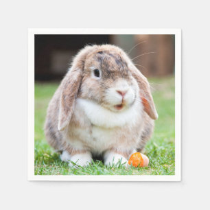 Cute lop-Ekanin Pappersservett