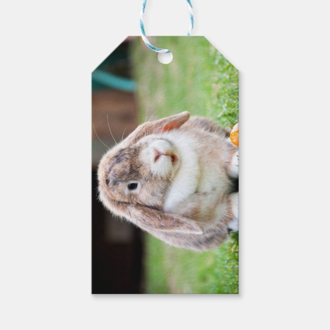 Cute lop-Ekanin Presentetikett (Framsidan)