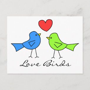 Cute Love birds Vykort