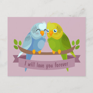 Cute Love birds vykort
