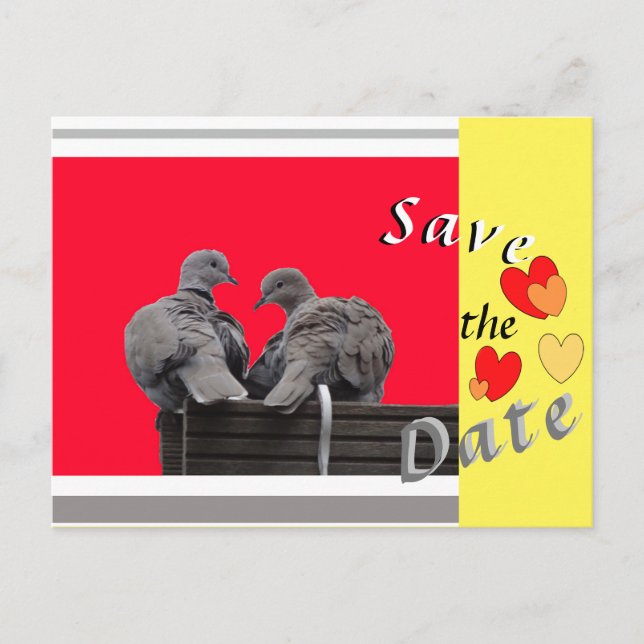 Cute Lovebird SPARVE DATE Hearearts Postcard Vykort (Framsida)