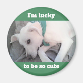 Cute Lucky White Hund Grönt Scarf Magnet