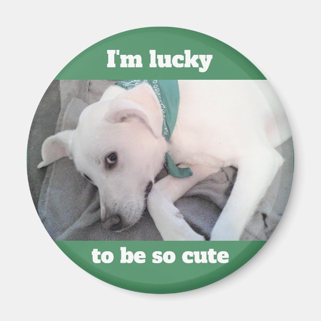 Cute Lucky White Hund Grönt Scarf Magnet (Framsidan)