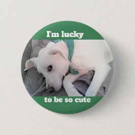 Cute Lucky White Hund med Grönt Scarf Knapp