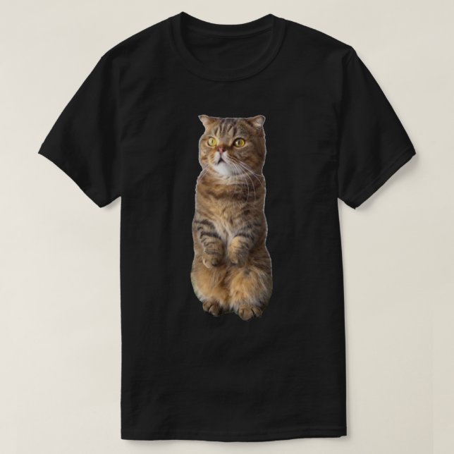 Cute LuLu stående ( Kittisaurus ) T Shirt (Design framsida)