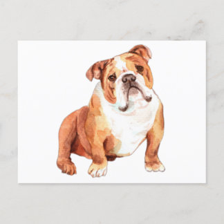 Cute lustig British Bulldog sitta Vykort