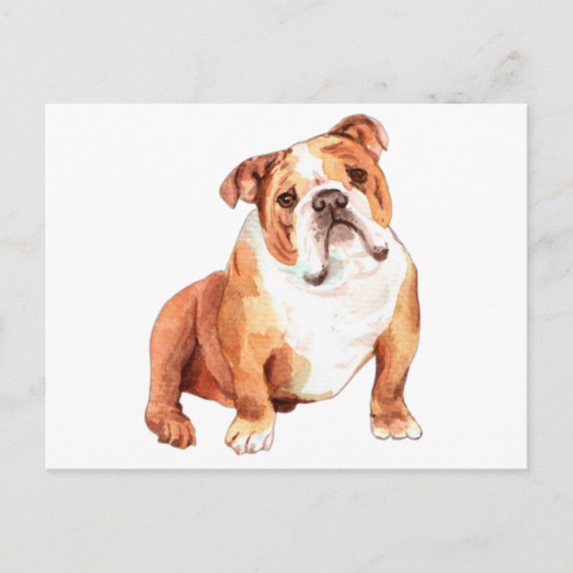 Cute lustig British Bulldog sitta Vykort (Framsida)