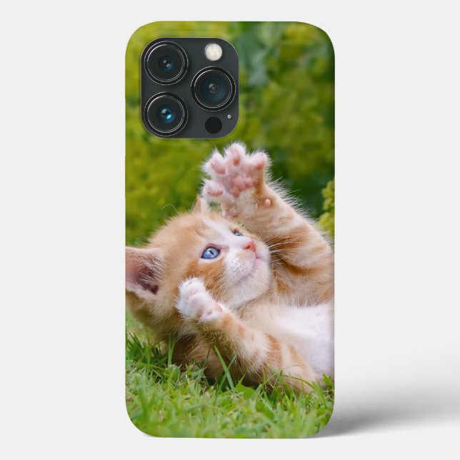 Cute lustig kattunge som leker i en blomsterträdgå (Baksida)