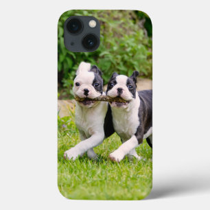 Cute Lustiga Boston Terrier hundar-marionetter -