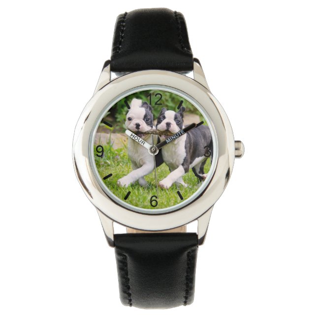 Cute Lustiga Boston Terrier hundar-marionetter - Armbandsur (Framsida)