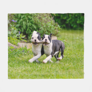 Cute Lustiga Boston Terrier hundar-marionetter - Fleecefilt