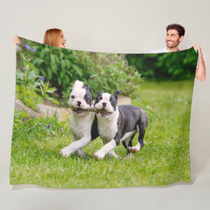 Cute Lustiga Boston Terrier hundar-marionetter - Fleecefilt
